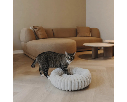 Getigerte Katze steigt in ein rundes, weiches Katzenkörbchen in einem modernen Wohnzimmer mit Sofa und Parkettboden.
