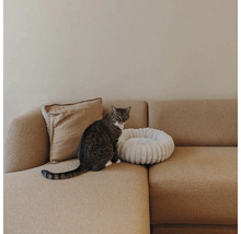 Getigerte Katze sitzt auf einem beigen Sofa neben einem weißen, runden Haustierbett aus Plüsch und einem Kissen.