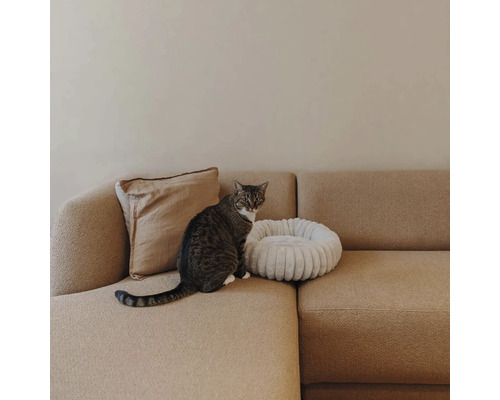 Getigerte Katze sitzt auf einem beigen Sofa neben einem weißen, runden Haustierbett aus Plüsch und einem Kissen.