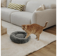 Getigerte Katze auf weißem Teppich neben einem rundem grauem Haustierbett in einem hellen Wohnzimmer mit grauem Sofa.