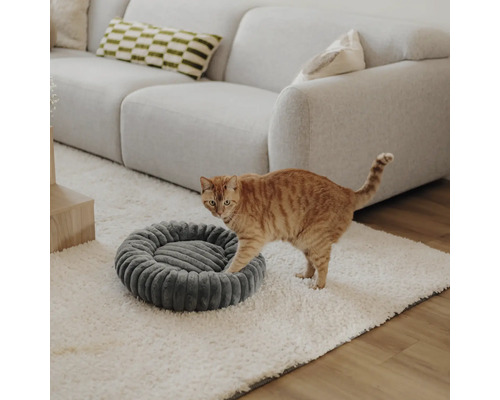 Getigerte Katze auf weißem Teppich neben einem rundem grauem Haustierbett in einem hellen Wohnzimmer mit grauem Sofa.