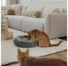 Rundes geripptes Katzenbett aus Stoff in einem hellen modernen Wohnzimmer mit Sofa und zwei Katzen.
