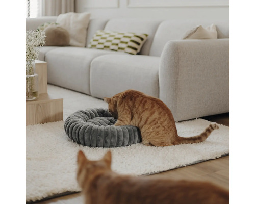 Rundes geripptes Katzenbett aus Stoff in einem hellen modernen Wohnzimmer mit Sofa und zwei Katzen.