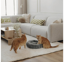 Helles, organisiertes Wohnzimmer mit Sofa und Teppich, zwei Katzen neben einem runden, weichen Haustierbett aus strukturiertem Stoff.