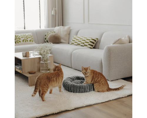 Helles, organisiertes Wohnzimmer mit Sofa und Teppich, zwei Katzen neben einem runden, weichen Haustierbett aus strukturiertem Stoff.