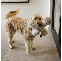 Hund mit großem, plüschigem Hundespielzeug in Knochenform im Maul auf einem Fliesenboden.