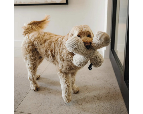 Hund mit großem, plüschigem Hundespielzeug in Knochenform im Maul auf einem Fliesenboden.