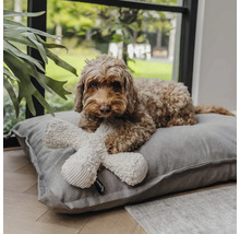 Brauner Hund liegt auf einem grauen Hundekissen aus Stoff und hält ein cremefarbenes Plüschspielzeug in Knochenform in einem hellen Innenraum.