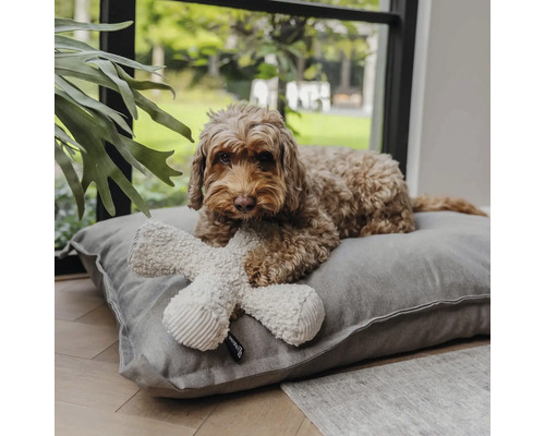 Brauner Hund liegt auf einem grauen Hundekissen aus Stoff und hält ein cremefarbenes Plüschspielzeug in Knochenform in einem hellen Innenraum.
