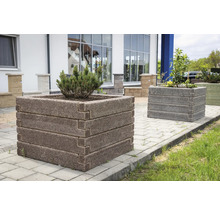 Quadratisches Hochbeet aus strukturierten Betonsteinen in Holzoptik im gepflasterten Außenbereich bepflanzt mit einem kleinen Strauch.