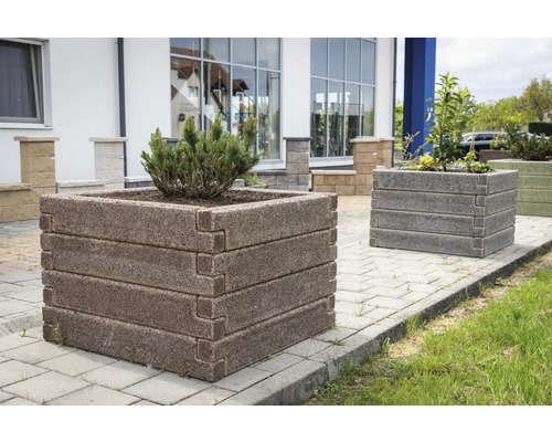 Quadratisches Hochbeet aus strukturierten Betonsteinen in Holzoptik im gepflasterten Außenbereich bepflanzt mit einem kleinen Strauch.