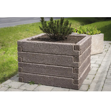 Quadratischer Pflanzkübel aus Beton mit strukturierter Steinoberfläche, gestapeltes Design, bepflanzt mit einem kleinen Nadelbaum auf einem Gehweg.