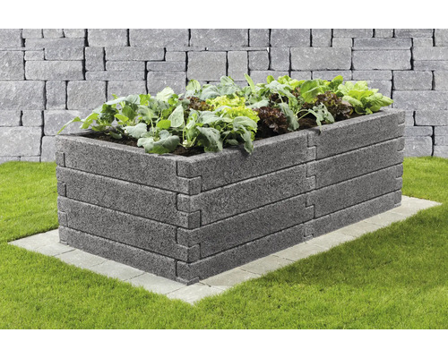 Rechteckiges Hochbeet aus strukturierten grauen Betonsteinen, bepflanzt mit Salat, auf einer gepflasterten Basis im Garten vor einer Steinmauer.