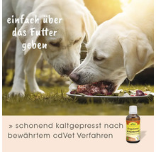 Zwei Hunde fressen Frischfutter mit cdVet biologischem Nachtkerzenöl, kaltgepresstes Nahrungsergänzungsmittel zur Anwendung über dem Futter.