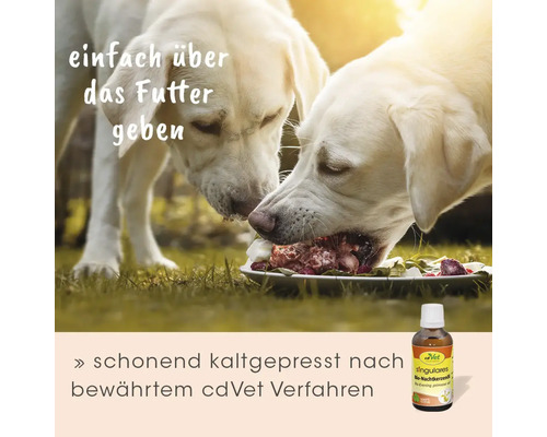 Zwei Hunde fressen Frischfutter mit cdVet biologischem Nachtkerzenöl, kaltgepresstes Nahrungsergänzungsmittel zur Anwendung über dem Futter.