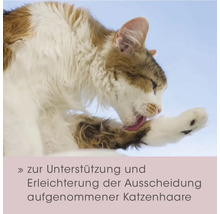 Katze beim Lecken der Pfote, mit Text zur Unterstützung und Erleichterung der Ausscheidung aufgenommener Katzenhaare.