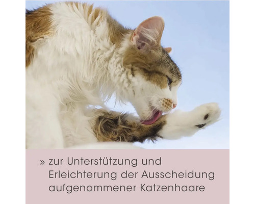 Katze beim Lecken der Pfote, mit Text zur Unterstützung und Erleichterung der Ausscheidung aufgenommener Katzenhaare.