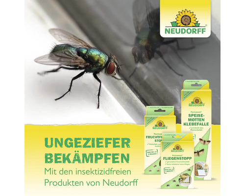 Insektizidfreie Ungezieferbekämpfung mit Neudorff Klebefallen für Speisemotten, Fruchtfliegen und Fliegenstopp neben einer Stubenfliege. Neudorff Logo.