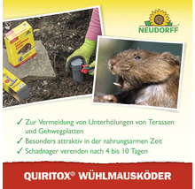 Neudorff Logo, Quiritox Wühlmausköder Anwendung unter Gehwegplatten zur Vermeidung von Unterhöhlungen und Nahaufnahme einer Wühlmaus.