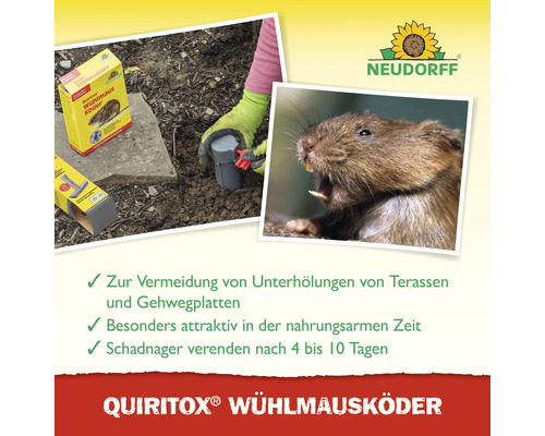 Neudorff Logo, Quiritox Wühlmausköder Anwendung unter Gehwegplatten zur Vermeidung von Unterhöhlungen und Nahaufnahme einer Wühlmaus.