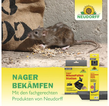Nagerbekämpfung mit Neudorff Sugan Mäusefalle-Station und Quiritox Wühlmaus-Köderdepot sowie eine Ratte neben einem Getreidesack.