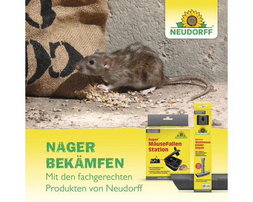 Nagerbekämpfung mit Neudorff Sugan Mäusefalle-Station und Quiritox Wühlmaus-Köderdepot sowie eine Ratte neben einem Getreidesack.