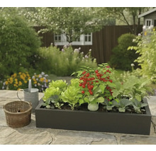 Dunkler rechteckiger Pflanzkasten mit Salat, Kirschtomaten und anderem Gemüse auf einer Steinterrasse in einem hellen Garten mit Gießkanne.