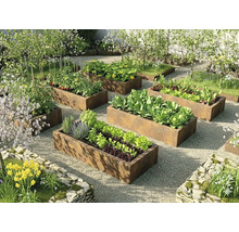 Organisierte helle Gartenszene mit rechteckigen Hochbeeten aus Cortenstahl bepflanzt mit Gemüse und Kräutern auf einer Kiesfläche.