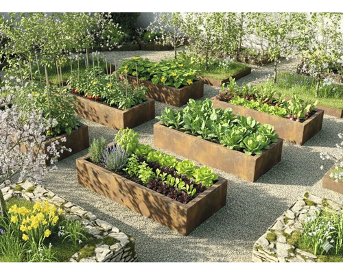 Organisierte helle Gartenszene mit rechteckigen Hochbeeten aus Cortenstahl bepflanzt mit Gemüse und Kräutern auf einer Kiesfläche.