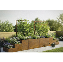 Gestuftes Hochbeet-System aus Corten-Stahl mit Rankgittern, bepflanzt mit Kletterpflanzen und Blumen in einem hellen Außenbereich.