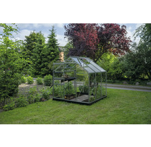 Transparentes Gewächshaus mit Aluminiumrahmen, schwarzem Fundament und Dachfenster auf einer Rasenfläche in einem grünen Garten.