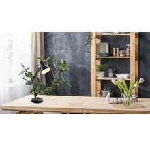 Schwarze, verstellbare Schreibtischleuchte auf einem hellen Holztisch in einem hellen Zimmer mit Zimmerpflanzen und einem Holzregal.