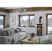 Moderner Kaminofen in einem hellen Wohnzimmer mit grauem Sofa, Holzcouchtisch und winterlichem Ausblick durch ein großes Fenster.