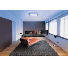 Modernes Wohnzimmer mit flachem LED Panel an der Decke, grauem Hochflor Teppich, Parkettboden und einem modernen Einbaukamin.