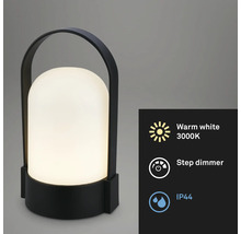 Tragbare Außenleuchte mit Griff, warmweißes Licht 3000 Kelvin, Stufendimmer und Schutzart IP44.