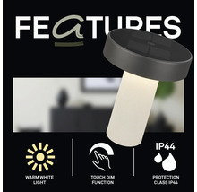 Pilzförmige Lampe mit warmweißem Licht, Touch-Dimmfunktion und Schutzart IP44.