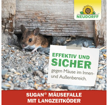 Maus blickt aus einem Schlupfloch unter Holz hervor, Neudorff Sugan Mausefalle mit Langzeitköder für innen und außen.