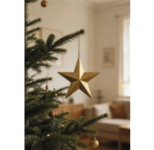 Goldener fünfzackiger Stern als Christbaumschmuck hängend an einem grünen Tannenzweig in einem hellen Wohnzimmer.