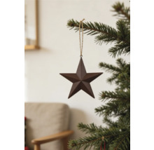 Brauner fünfzackiger Stern als Weihnachtsbaumschmuck mit Juteschnur an einem Tannenzweig.