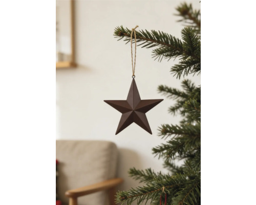 Brauner fünfzackiger Stern als Weihnachtsbaumschmuck mit Juteschnur an einem Tannenzweig.