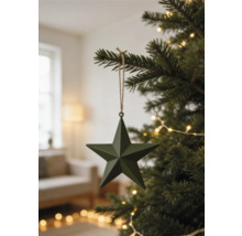 Dunkelgrüner fünfzackiger Stern als Christbaumanhänger an einem Tannenbaumzweig mit Lichterkette in einem hellen Wohnzimmer.