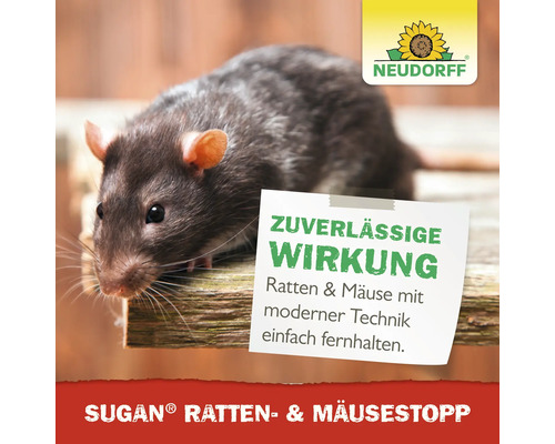 Neudorff Sugan Ratten- und Mäusestopp mit Ratte auf Holzoberfläche und Neudorff Logo. Zuverlässige Wirkung gegen Ratten und Mäuse.