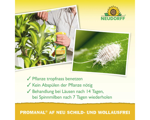 Anwendung von Neudorff Promanal AF Neu gegen Schild- und Wollläuse an einer Pflanze mit Nahaufnahme eines Schädlings und Neudorff Logo.