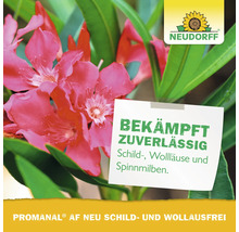Neudorff Logo über Oleanderblüten mit Text zur Bekämpfung von Schildläusen, Wollläusen und Spinnmilben mit Promanal AF Neu.