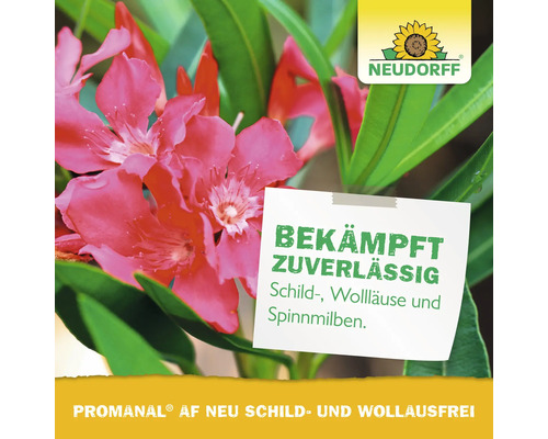 Neudorff Logo über Oleanderblüten mit Text zur Bekämpfung von Schildläusen, Wollläusen und Spinnmilben mit Promanal AF Neu.