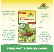 Neudorff Logo. Neudorff Ferramol Schneckenkorn gegen Nacktschnecken an Gemüse, Obst und Zierpflanzen, regenfest und ohne Wartezeit bis zur Ernte.
