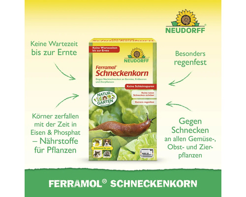 Neudorff Logo. Neudorff Ferramol Schneckenkorn gegen Nacktschnecken an Gemüse, Obst und Zierpflanzen, regenfest und ohne Wartezeit bis zur Ernte.