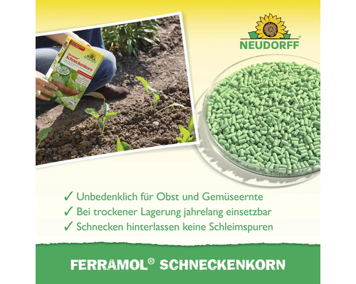 Neudorff Ferramol Schneckenkorn für den Garten, unbedenklich für die Ernte, lange haltbar und ohne Schleimspuren. Neudorff Logo.