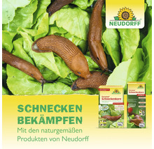 Schnecken auf Salatblättern neben Packungen von Neudorff Ferramol Schneckenkorn zur biologischen Bekämpfung im Garten. Neudorff Logo.