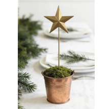 Weihnachtsdekoration mit einem goldenen Stern an einem Stab in einem kleinen Kupfertopf mit Moos auf einem festlich gedeckten Tisch.